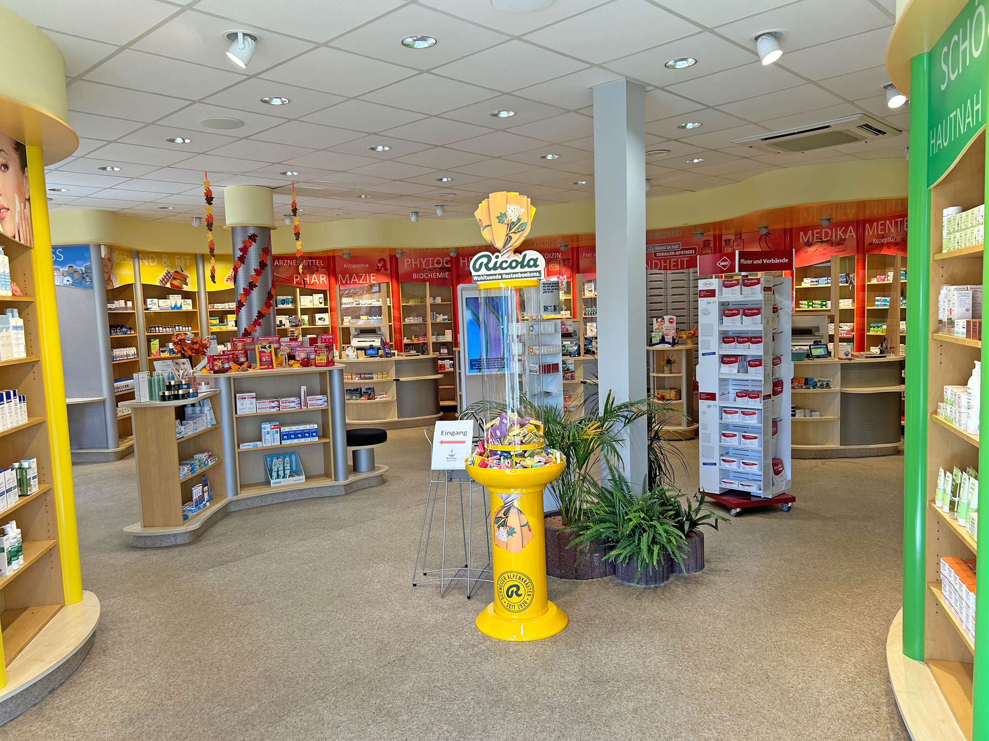 Korallen Apotheke Innenansicht
